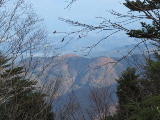 画像44